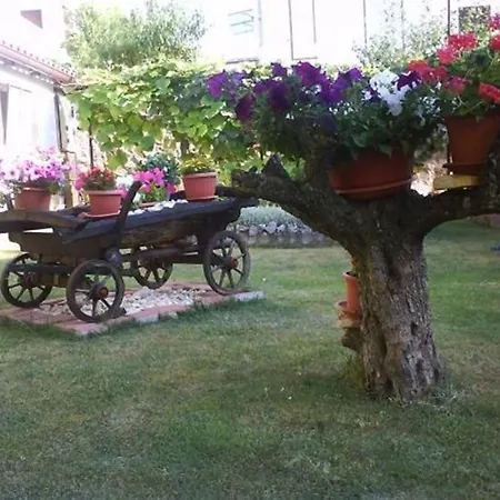 Apartament In Istrien 10057